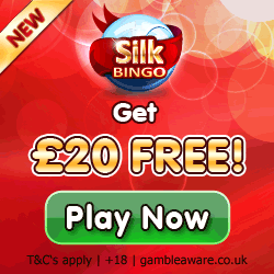  Silk Bingo Casino